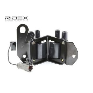 Ignition Coil - RIDEX 689C0218