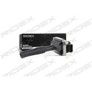 Ignition Coil - RIDEX 689C0213