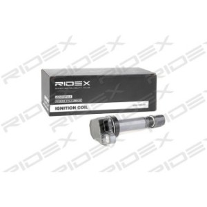 Ignition Coil - RIDEX 689C0206