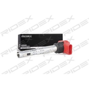 Ignition Coil - RIDEX 689C0050