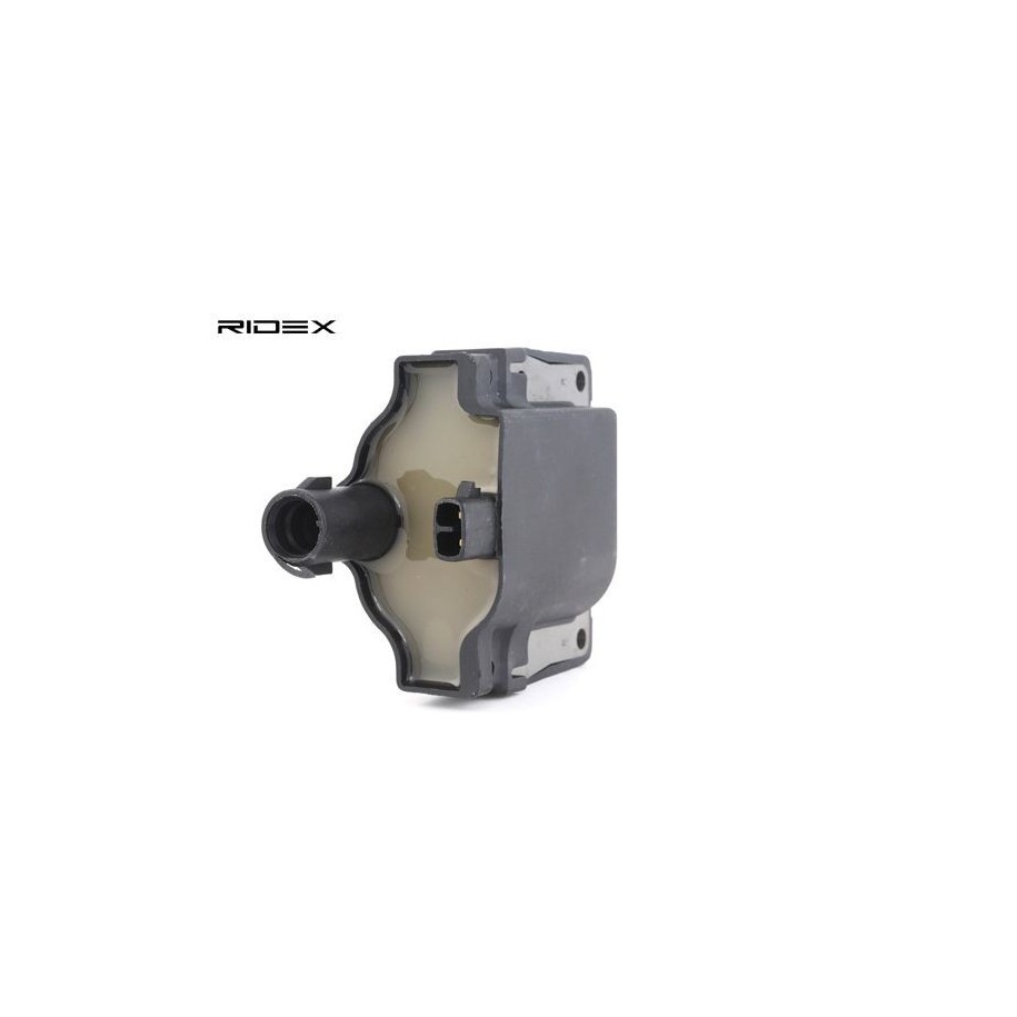Ignition Coil - RIDEX 689C0200