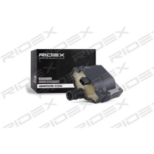 Ignition Coil - RIDEX 689C0200