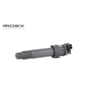 Ignition Coil - RIDEX 689C0193