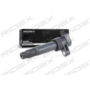 Ignition Coil - RIDEX 689C0193