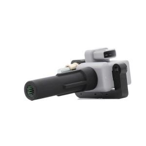 Ignition Coil - RIDEX 689C0183