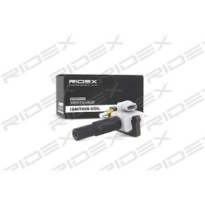 Ignition Coil - RIDEX 689C0183