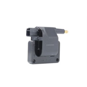 Ignition Coil - RIDEX 689C0180