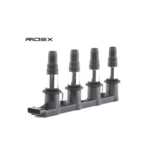 Ignition Coil - RIDEX 689C0179