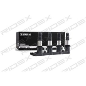 Ignition Coil - RIDEX 689C0179