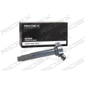 Ignition Coil Unit - RIDEX 689C0166