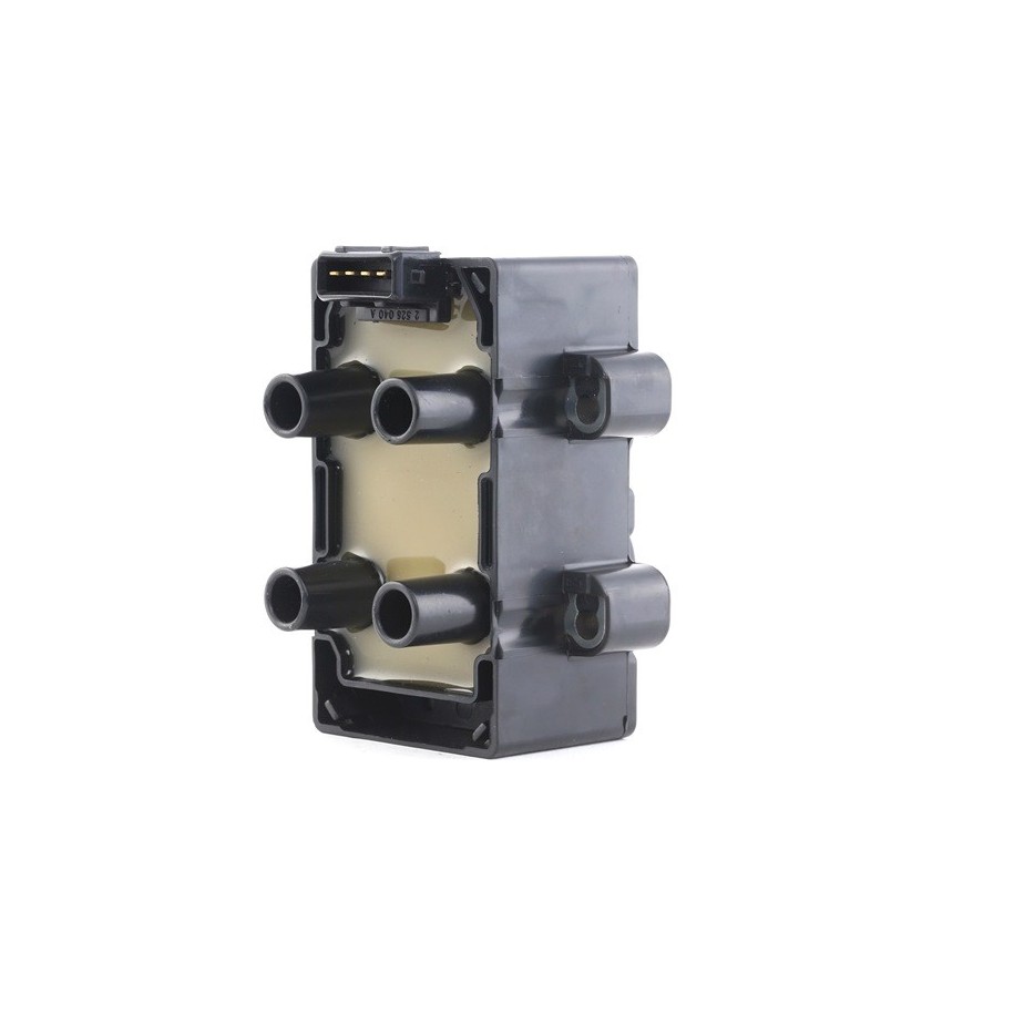 Ignition Coil - RIDEX 689C0160