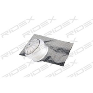 Engine Mounting - RIDEX 247E0010