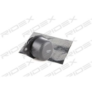 Engine Mounting - RIDEX 247E0011