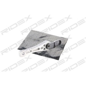 Engine Mounting - RIDEX 247E0012