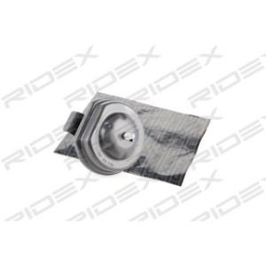 Engine Mounting - RIDEX 247E0021