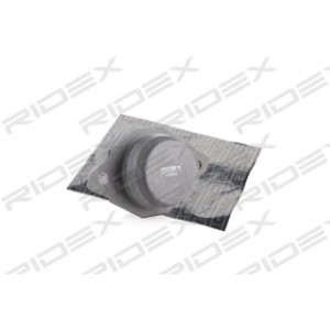 Engine Mounting - RIDEX 247E0022