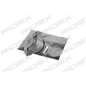 Engine Mounting - RIDEX 247E0029