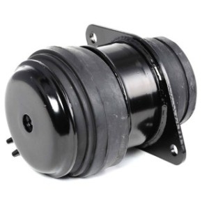 Engine Mounting - RIDEX 247E0032