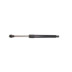 Tailgate Strut - RIDEX 219G0366
