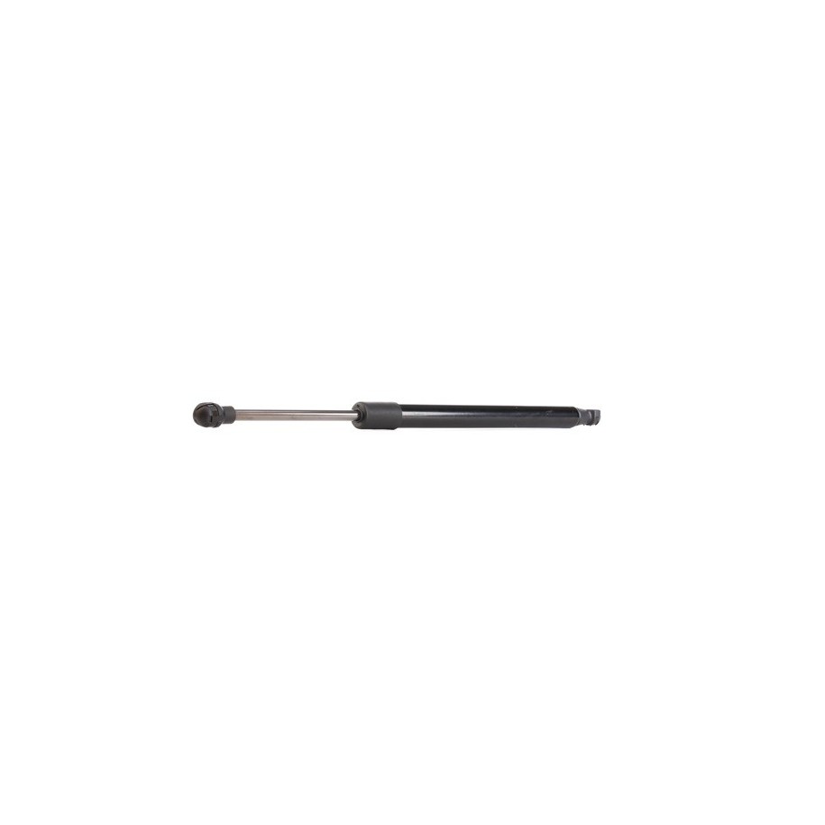 Tailgate Strut - RIDEX 219G0366