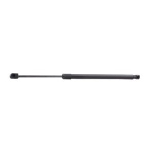 Tailgate Strut - RIDEX 219G0323