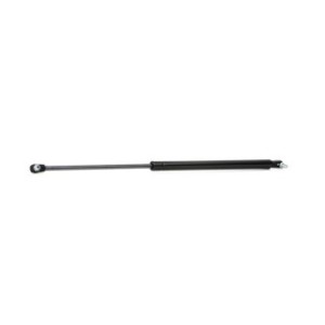 Tailgate Strut - RIDEX 219G0322