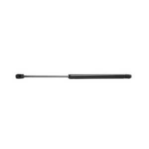 Tailgate Strut - RIDEX 219G0313