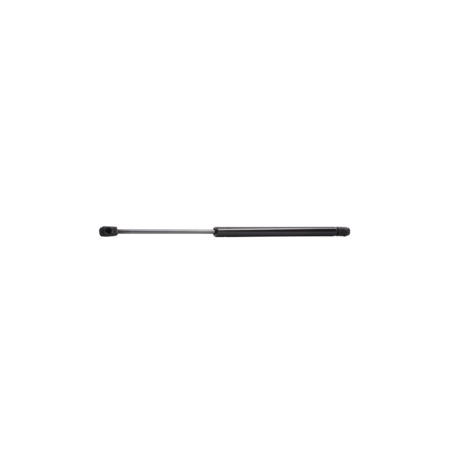 Tailgate Strut - RIDEX 219G0313