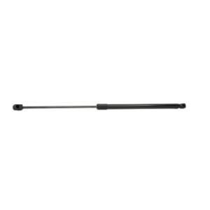 Tailgate Strut - RIDEX 219G0318