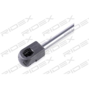Tailgate Strut - RIDEX 219G0318