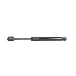 Tailgate Strut - RIDEX 219G0224