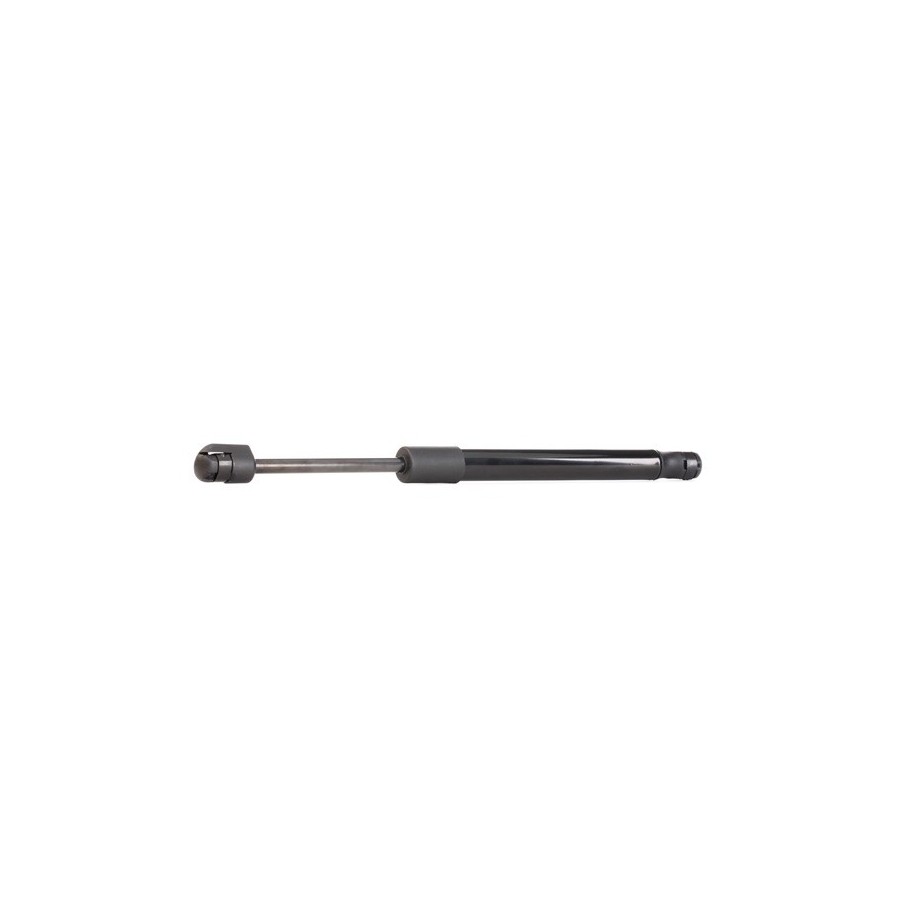 Tailgate Strut - RIDEX 219G0224