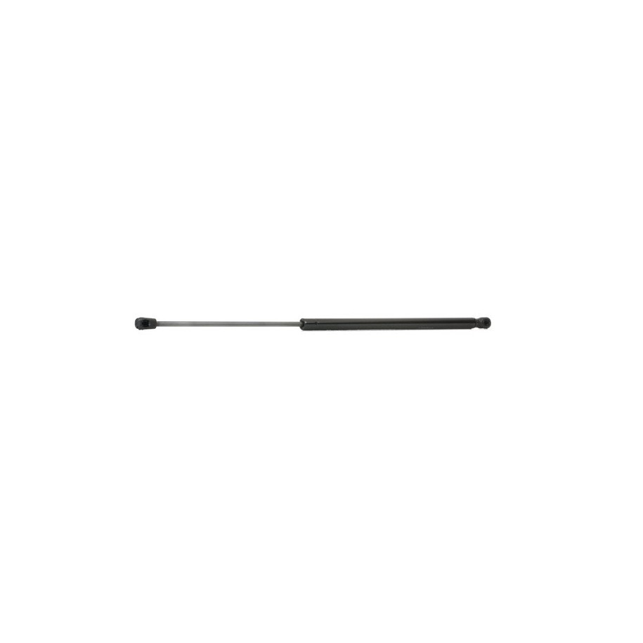 Tailgate Strut - RIDEX 219G0200