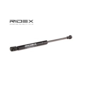 Tailgate Strut - RIDEX 219G0174