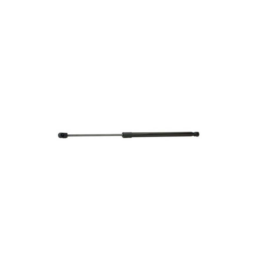 Tailgate Strut - RIDEX 219G0172