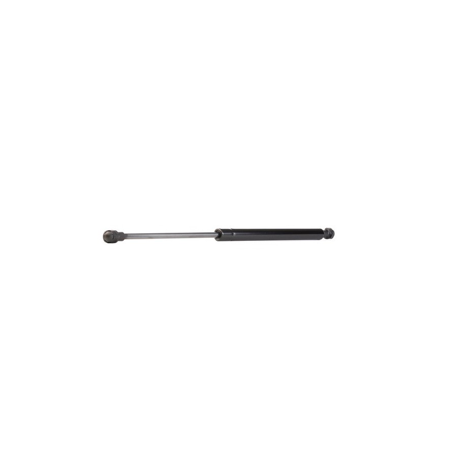 Tailgate Strut - RIDEX 219G0162