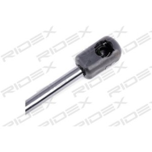Tailgate Strut - RIDEX 219G0162