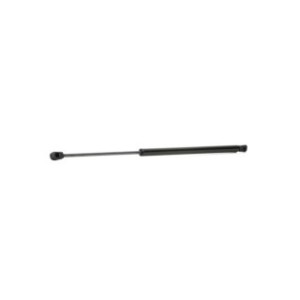 Tailgate Strut - RIDEX 219G0157