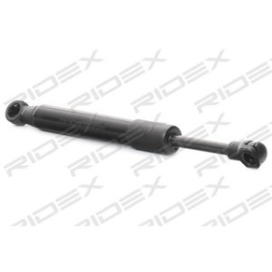 Tailgate Strut - RIDEX 219G0141