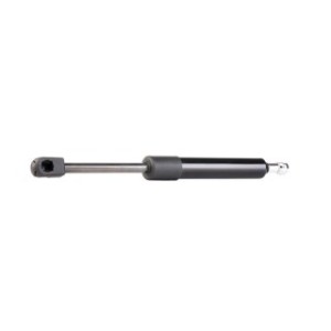 Tailgate Strut - RIDEX 219G0131