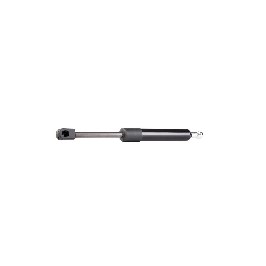 Tailgate Strut - RIDEX 219G0131