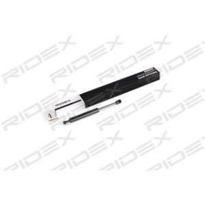 Tailgate Strut - RIDEX 219G0131