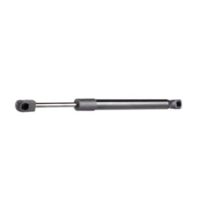 Tailgate Strut - RIDEX 219G0128