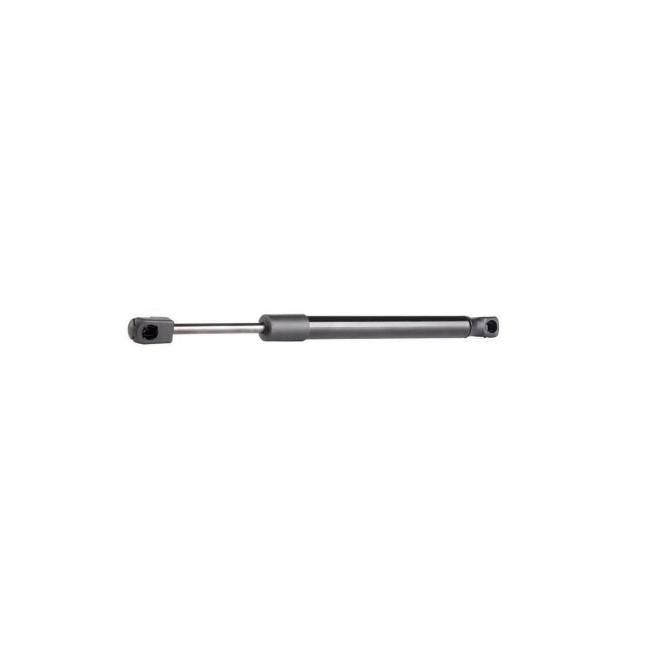 Tailgate Strut - RIDEX 219G0128
