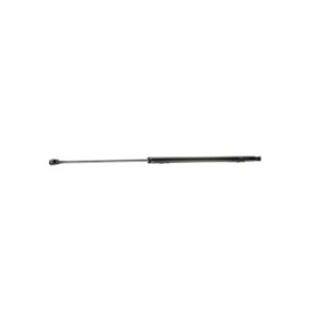 Tailgate Strut - RIDEX 219G0104