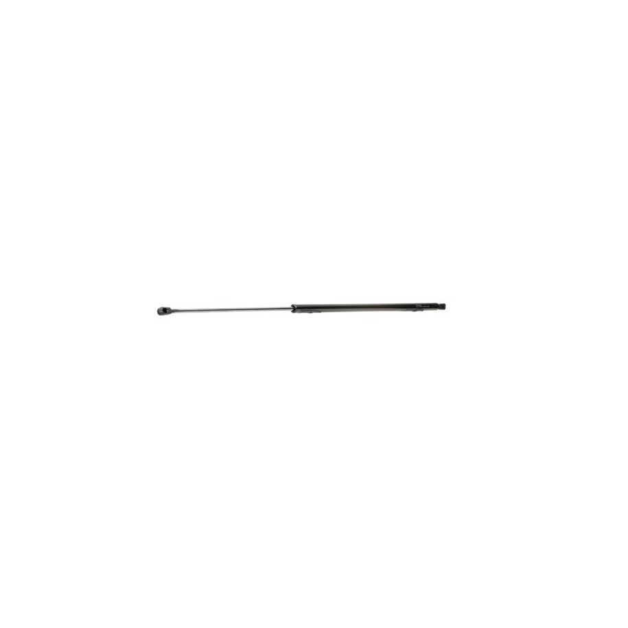 Tailgate Strut - RIDEX 219G0104