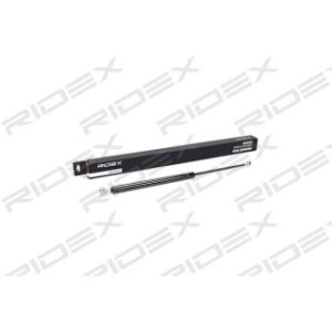 Tailgate Strut - RIDEX 219G0099