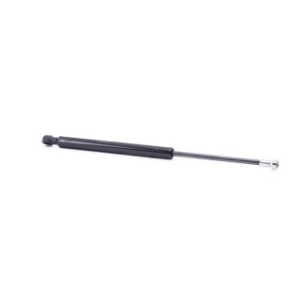 Tailgate Strut - RIDEX 219G0381