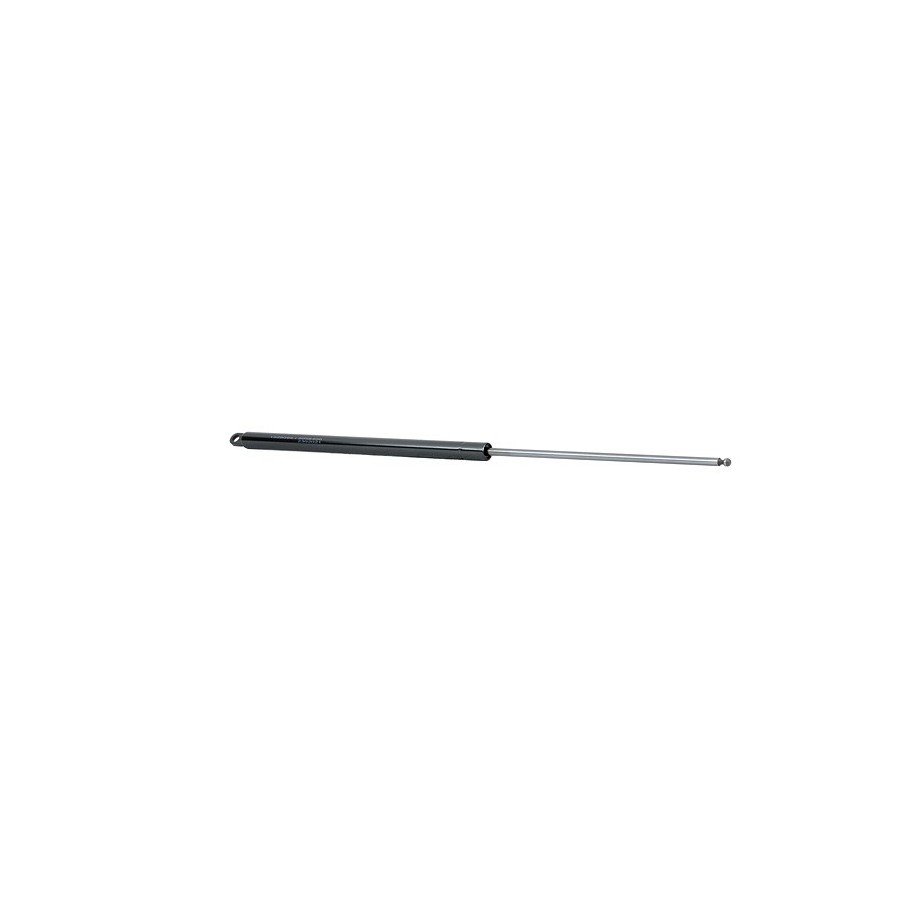 Tailgate Strut - RIDEX 219G0380