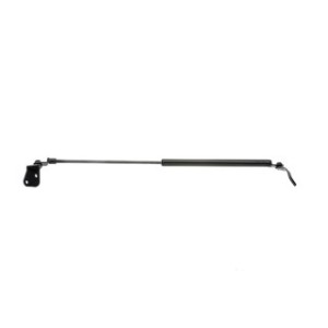 Tailgate Strut - RIDEX 219G0373